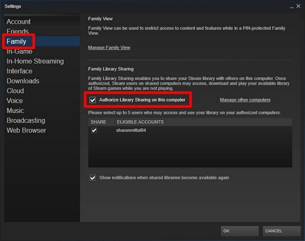 Steam Family Sharing Guide