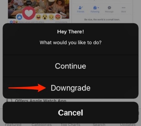 How to Downgrade iOS Apps to Older Versions