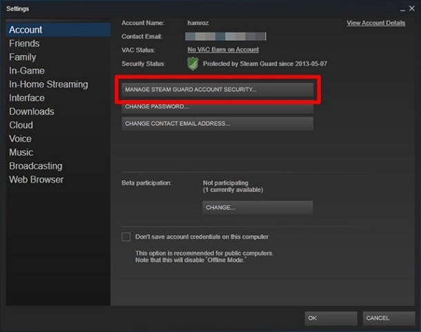 Steam Family Sharing Guide