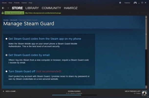 Steam Family Sharing Guide