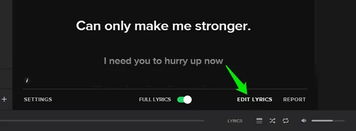 How To Get Lyrics on Spotify