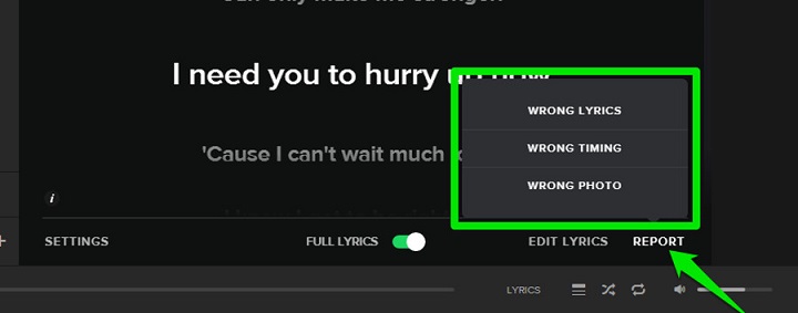 spotify lyric plugin