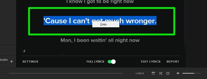 How To Get Lyrics on Spotify