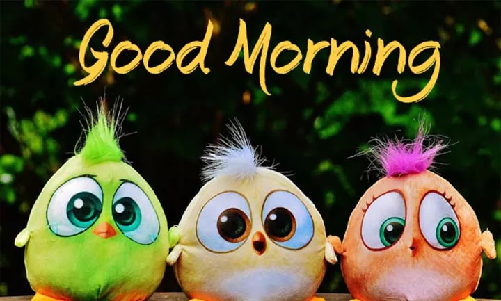 Good morning Message and Quotes