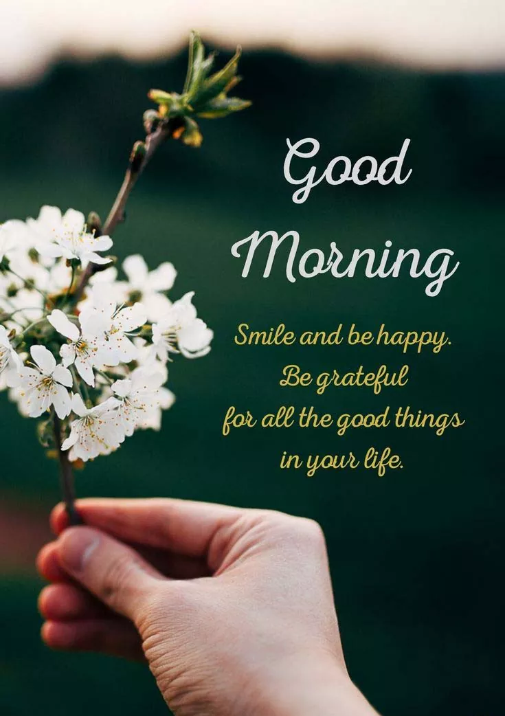 Good morning Message and Quotes
