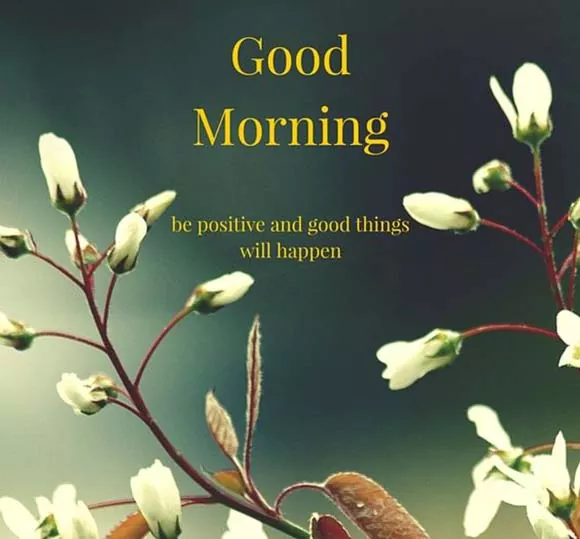 Good morning Message and Quotes