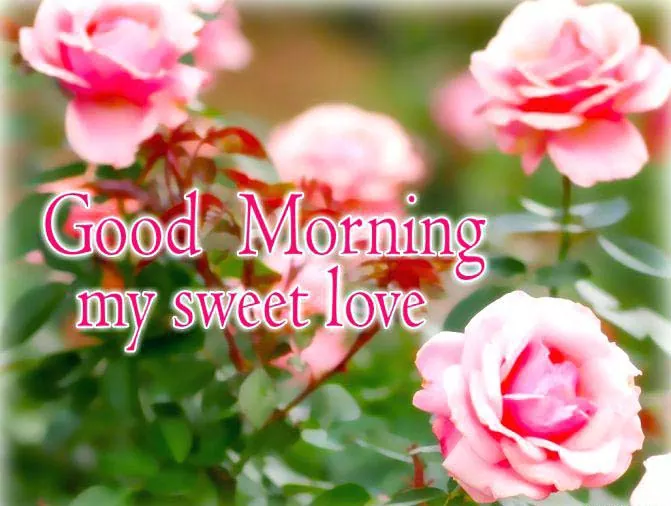 Good morning Message and Quotes