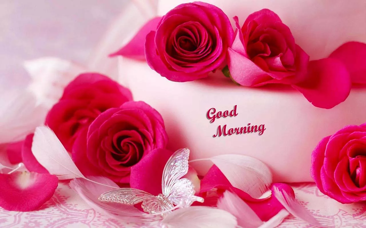 Good morning Message and Quotes