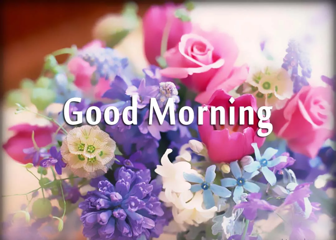 Good morning Message and Quotes