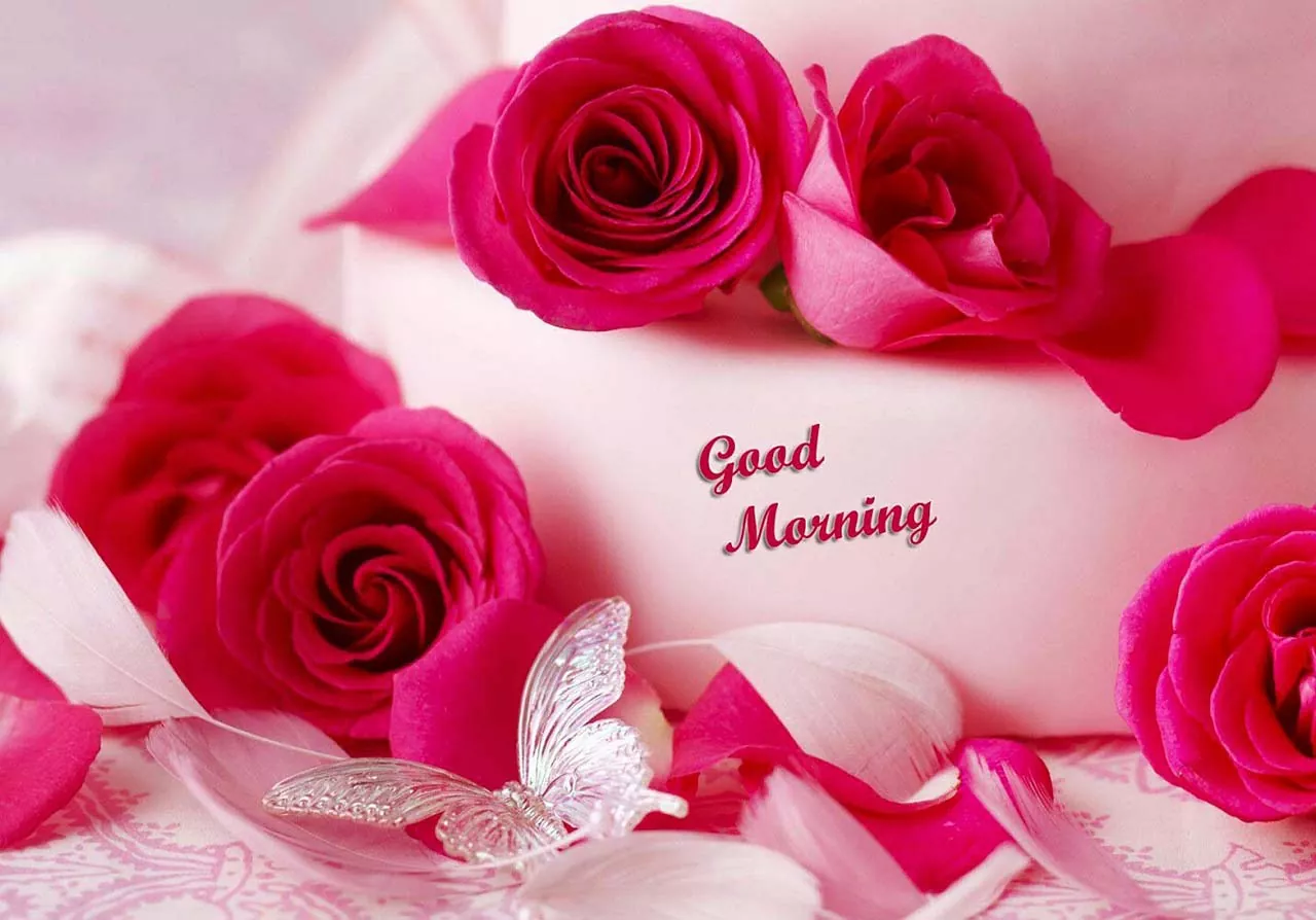 Good morning Message and Quotes