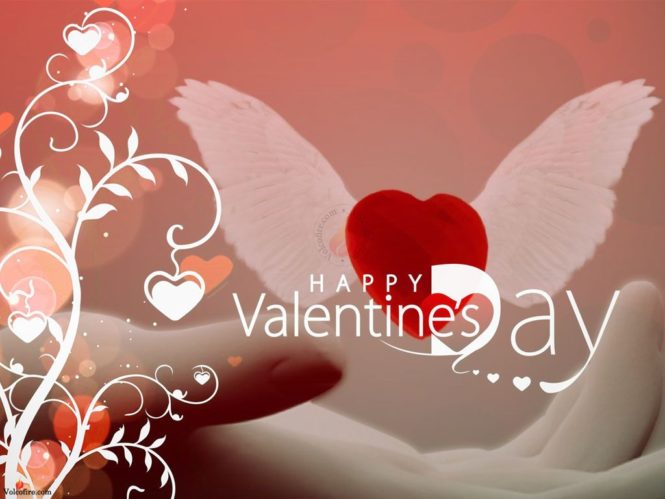 Happy Valentines Day photos, pictures, Images
