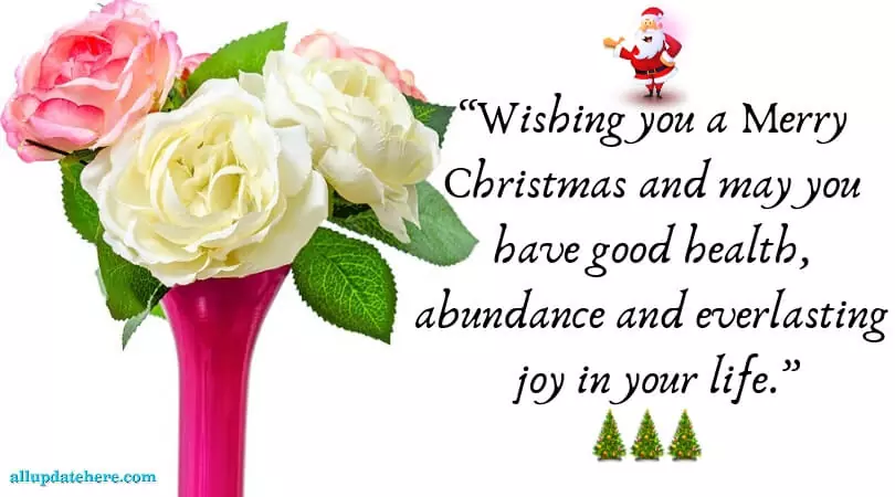 merry christmas greeting words