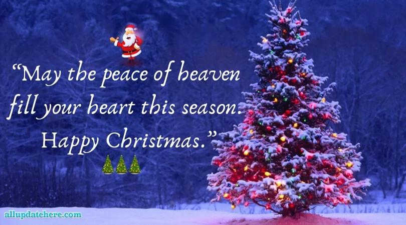 merry christmas quotes for someone special