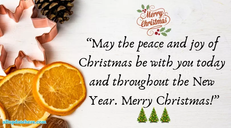 merry christmas sayings