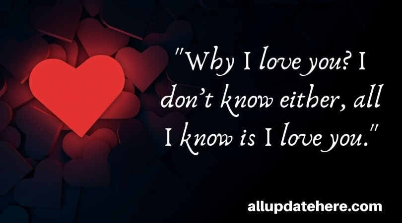 why i love you quotes