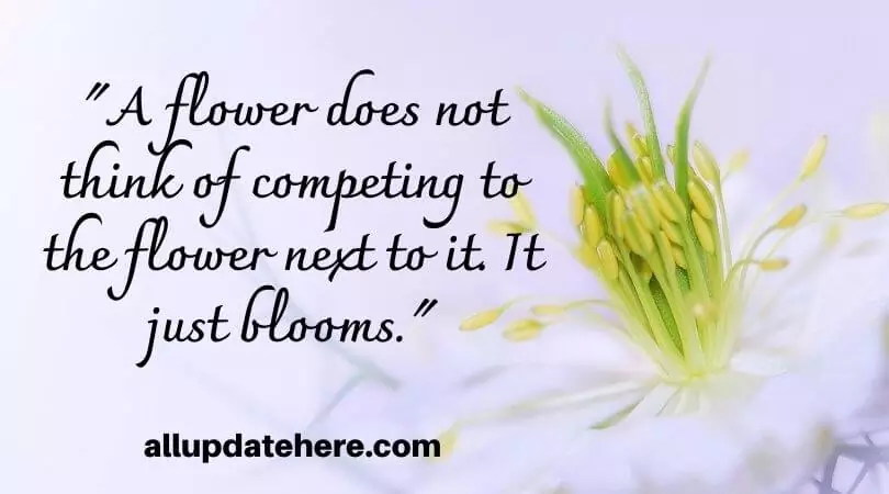 beauty and self love quotes