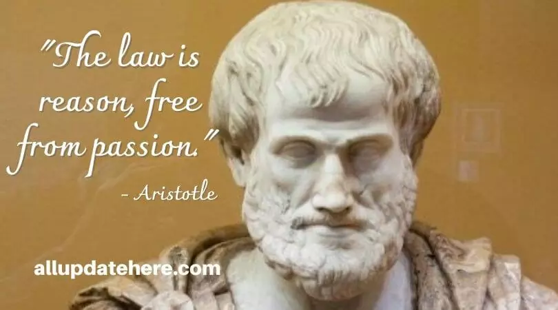 aristotle quotes on politics