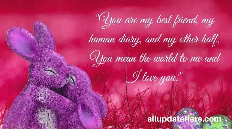 True Love Quotes for Him True Love Quotes for Him
