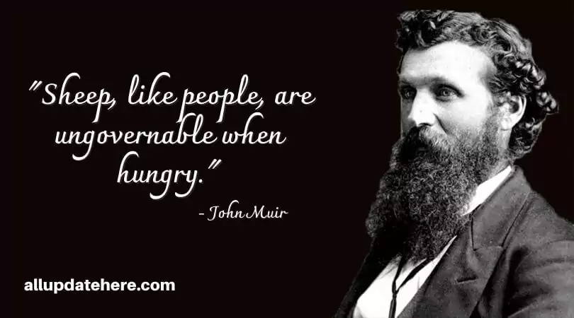 john muir quotes