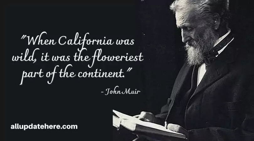 john muir quotes