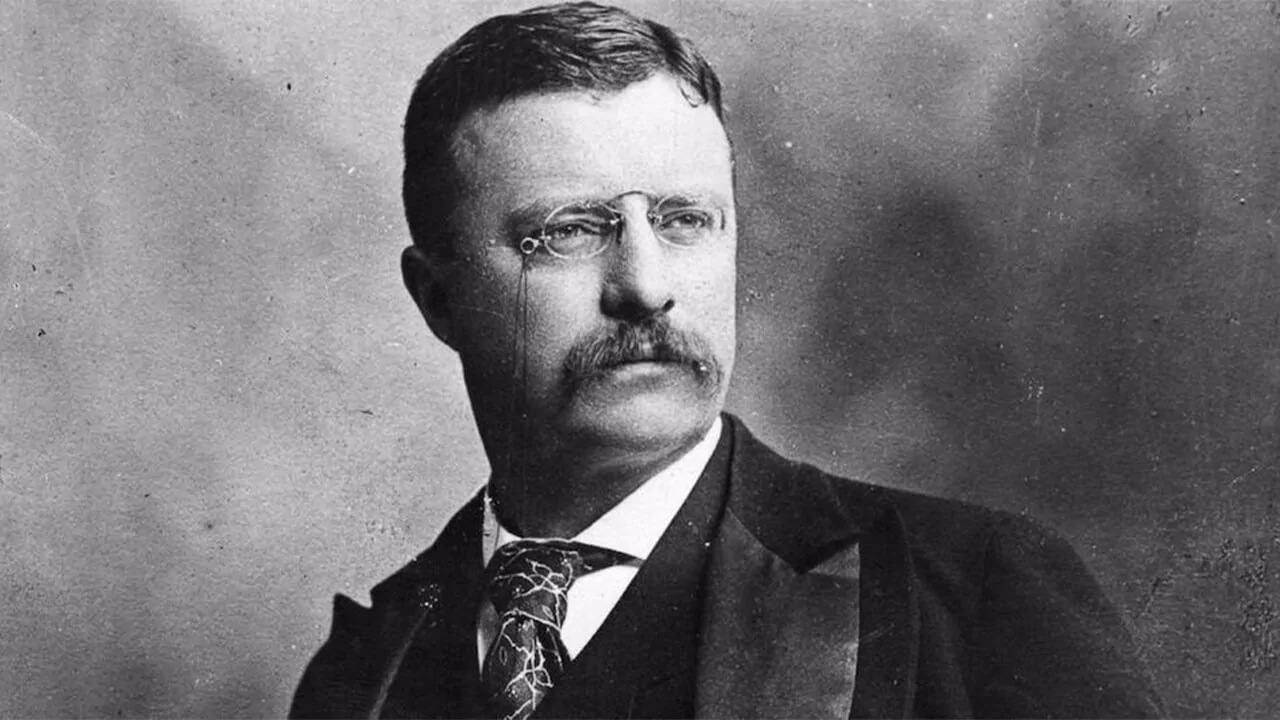Theodore Roosevelt Quotes About Nature, Voting, Patriotism, Leadership